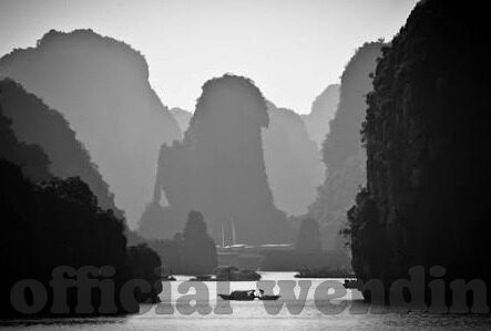 星辰奇缘九游版下载-领略星辰奇缘九游版，亲自下载并踏入奇幻旅程